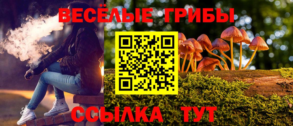 Галлюциногенные грибы Cubensis Новокуйбышевск