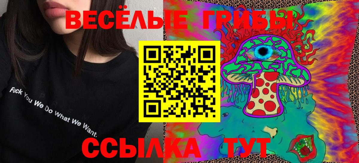 Новокуйбышевск  Псилоцибиновые грибы Psilocybine cubensis  Псилоцибиновые грибы Magic Shrooms  Вход с VPN 