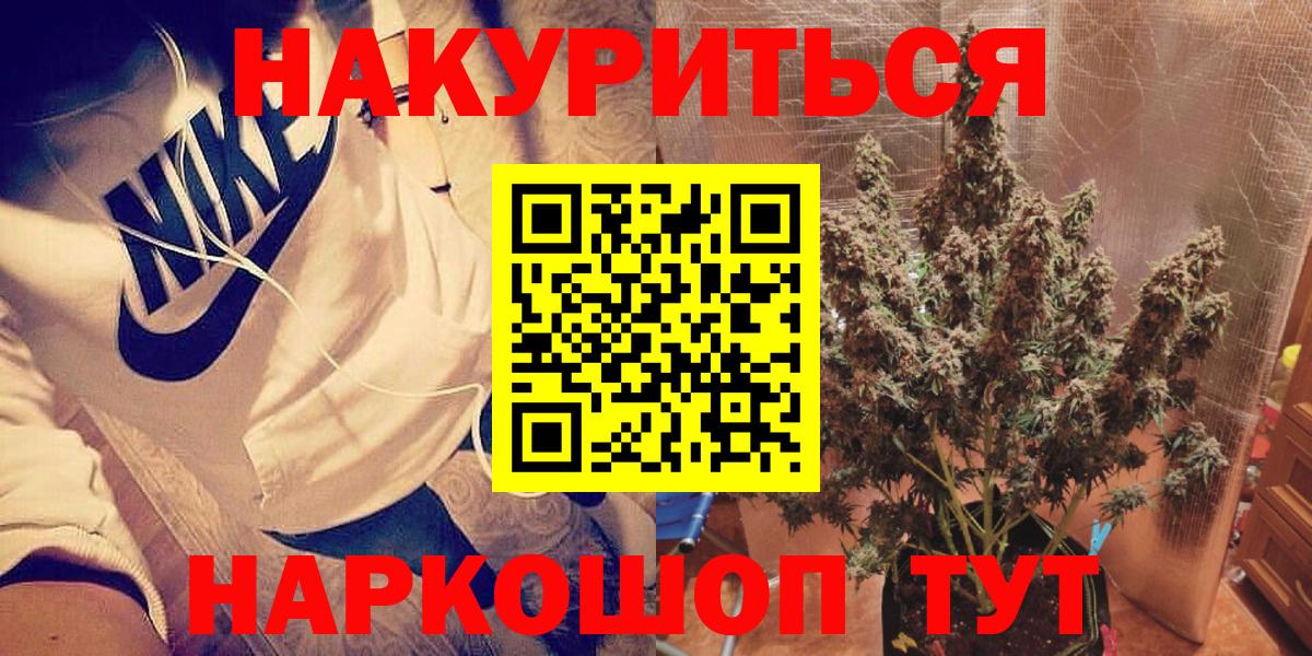 Бошки Шишки планчик Новокуйбышевск